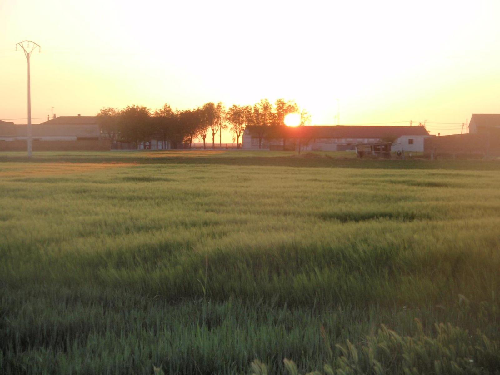 Casa Rural La Sastreria De Adanero Buitenkant foto